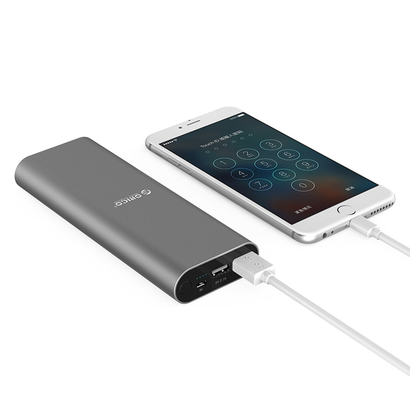 Power Bank для двох пристроїв 20000mAh (ORICO S2)